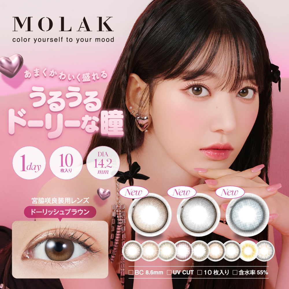 日本公式通販サイト MOLAK 10枚入×6箱 / 送料無料