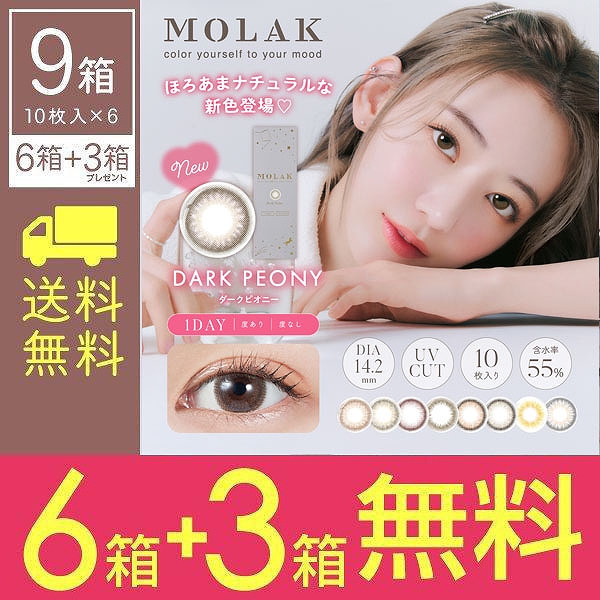 6箱購入ごとに3箱無料【9箱SET】 モラク ワンデー MOLAK 1DAY 6箱 10枚 度あり 度なし カラコン 1日使い捨て モラクワンデー