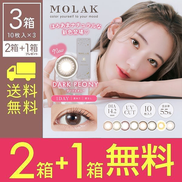 2箱購入ごとに1箱無料【3箱SET】 モラク ワンデー MOLAK 1DAY 2箱 10枚