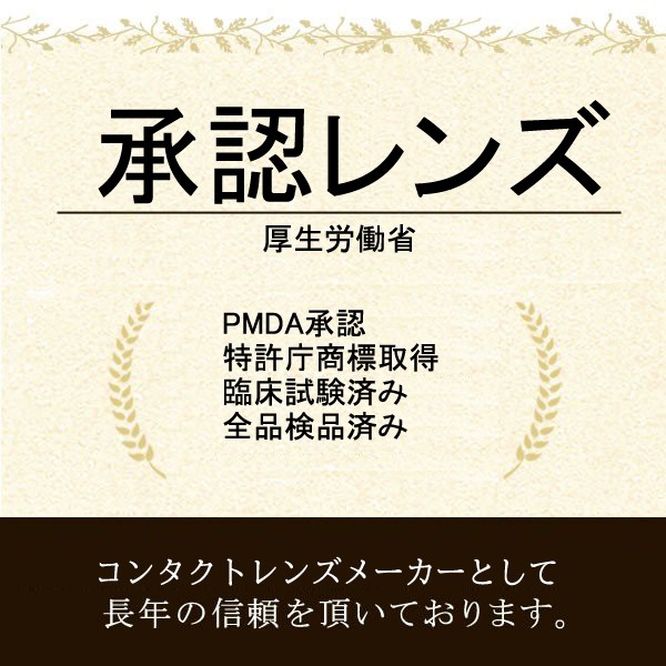 日本グローバルコンタクトレンズ 最安挑戦中 【5箱セット】 UVモイスチャー入り ワンデー コンタクト 1箱30枚 コンタクトレンズ 1day｜contactprime｜14