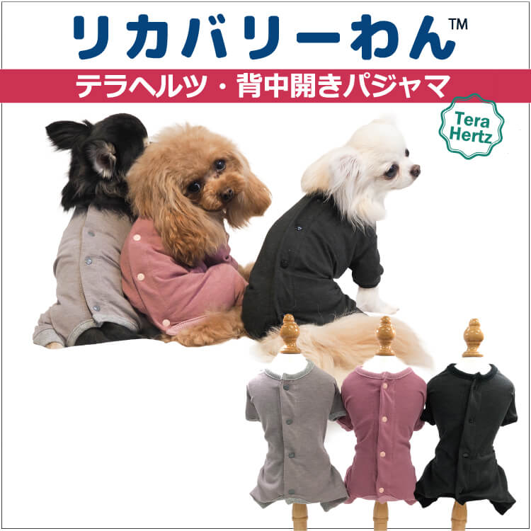 2/9再入荷】犬リカバリーウェア ロングセラー人気商品【テラヘルツ