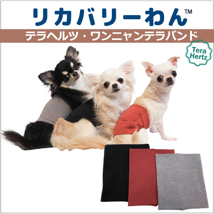 1/23再入荷】犬リカバリーグッズ 爆売れ人気商品! 【テラヘルツ