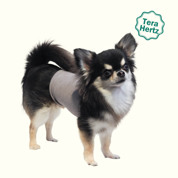 1/23再入荷】犬リカバリーグッズ 爆売れ人気商品! 【テラヘルツ