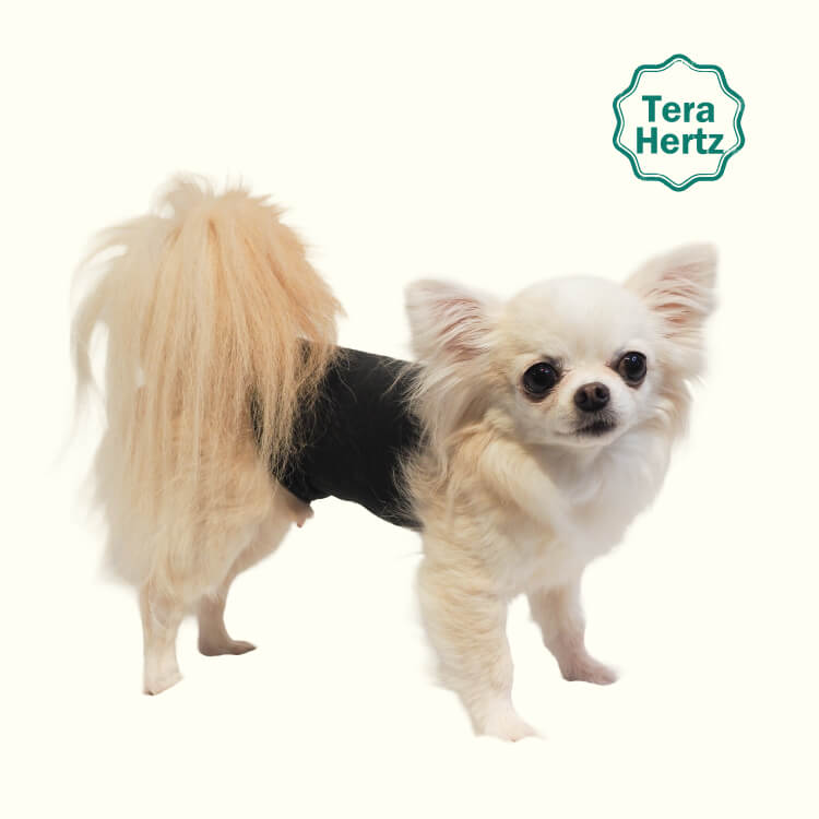 1/23再入荷】犬リカバリーグッズ 爆売れ人気商品! 【テラヘルツ