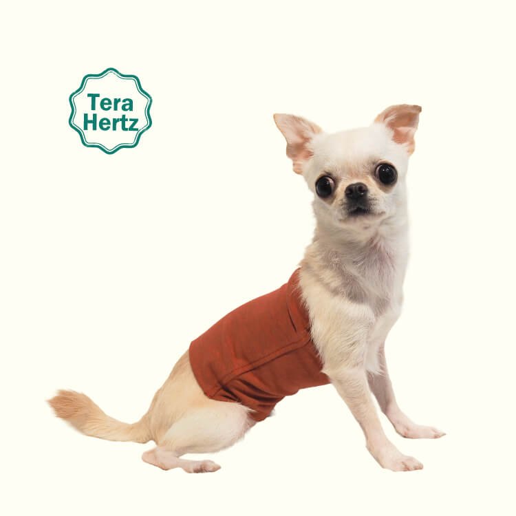 1/23再入荷】犬リカバリーグッズ 爆売れ人気商品! 【テラヘルツ