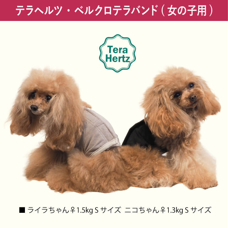 2/20再入荷】犬リカバリーグッズ 【人気商品】ヘルニアやお腹の弱い