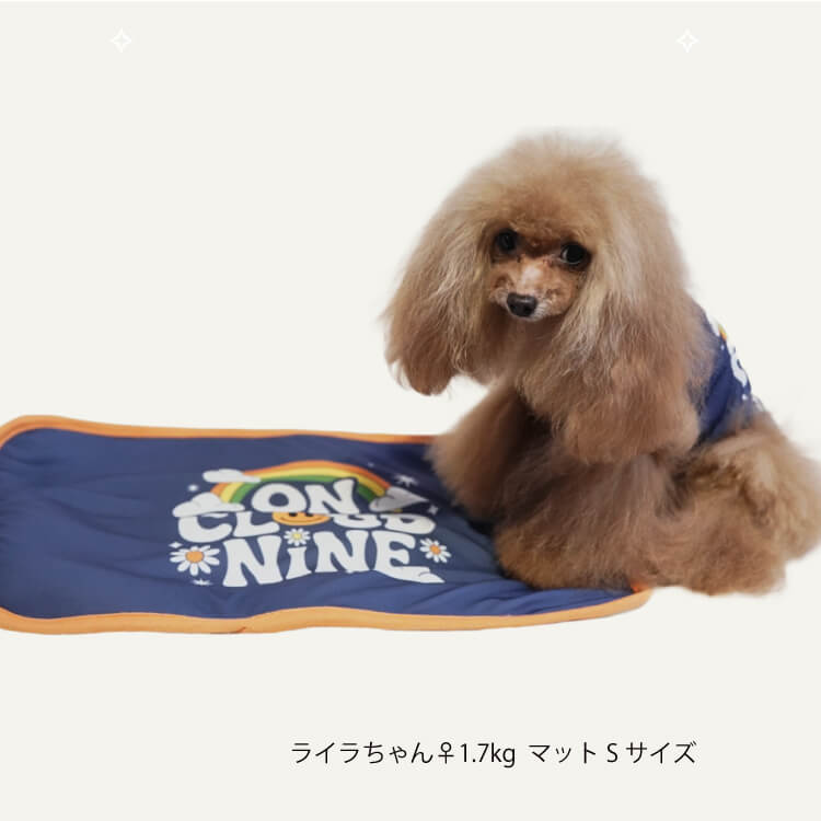 7/3入荷】2026夏物新作マット 犬リカバリーグッズ[熱中症対策