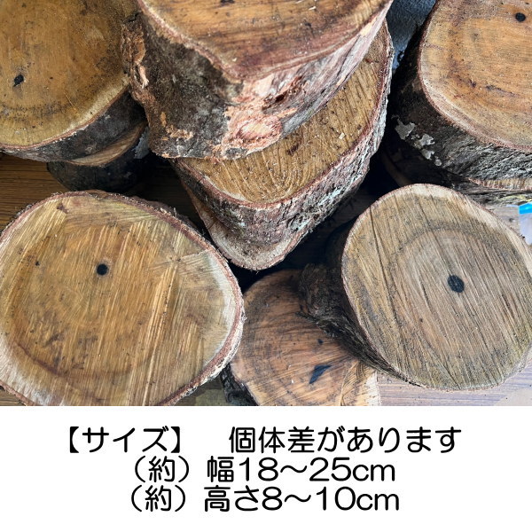 薪割り台 Wood chopping table 柿の木 丸太 切り株 バトニング台