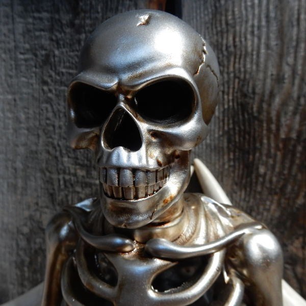 1skulls-1-2.jpg