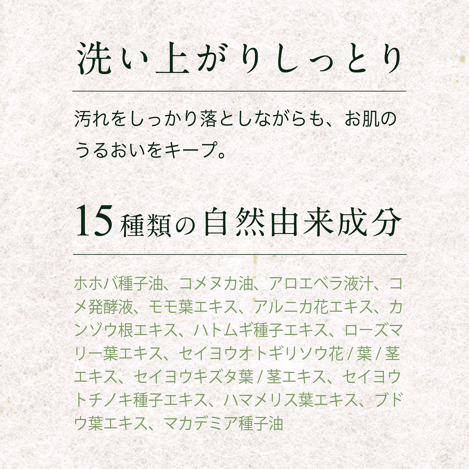 茶の粋 抹茶泡洗顔フォーム 120g 抹茶の香り コスメテックスローランド