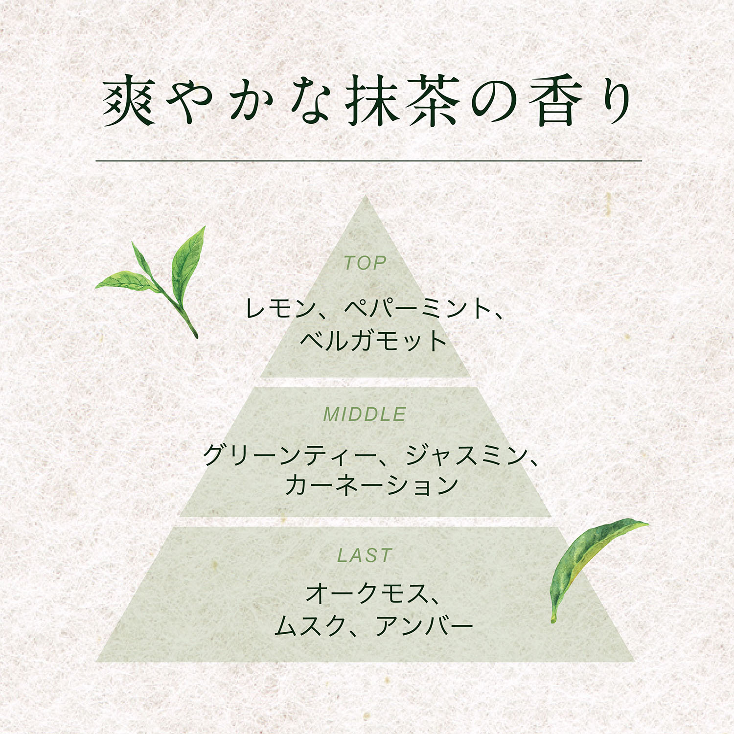 洗顔料 kazu 洗顔料 美白 ｜ Maison KOSÉ(メゾンコーセー)