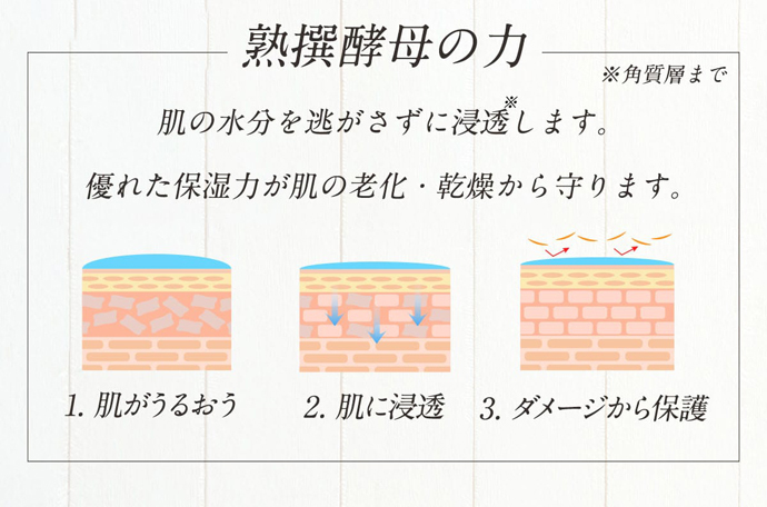 熟撰酵母の力