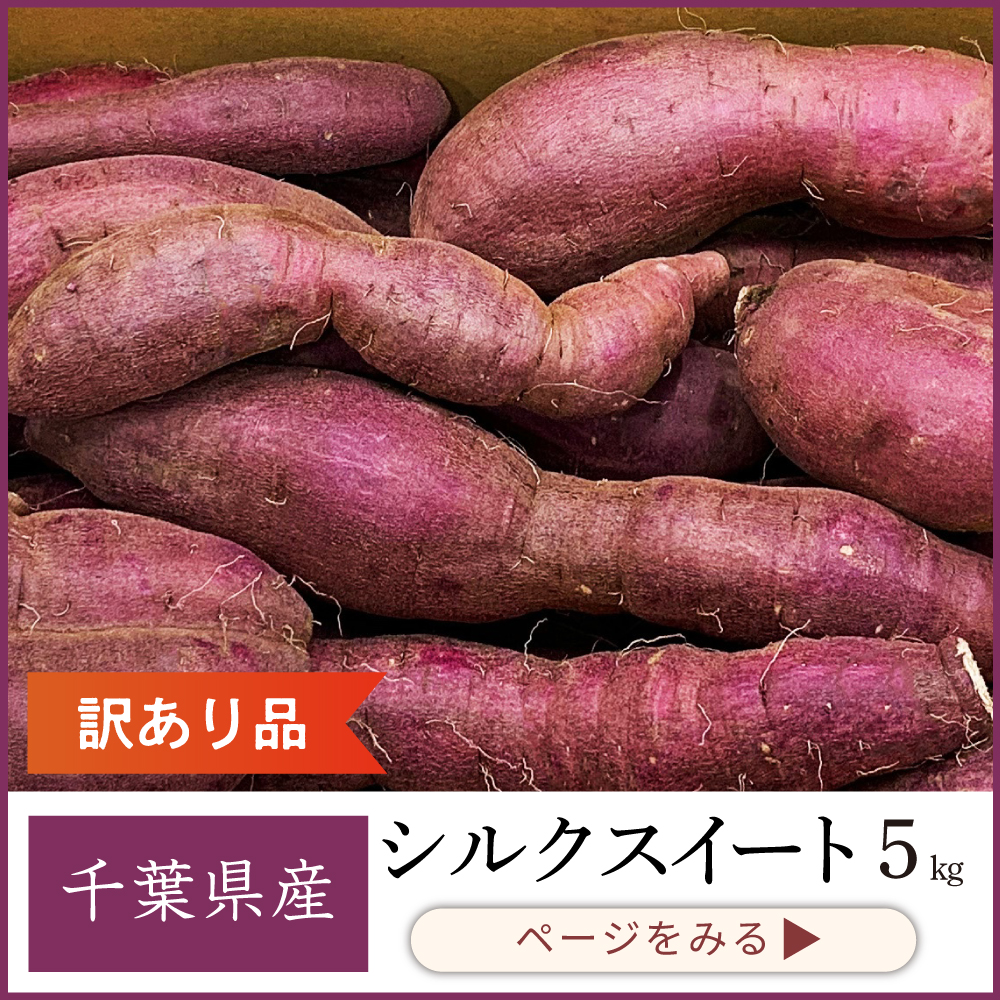 シルクスート訳あり品