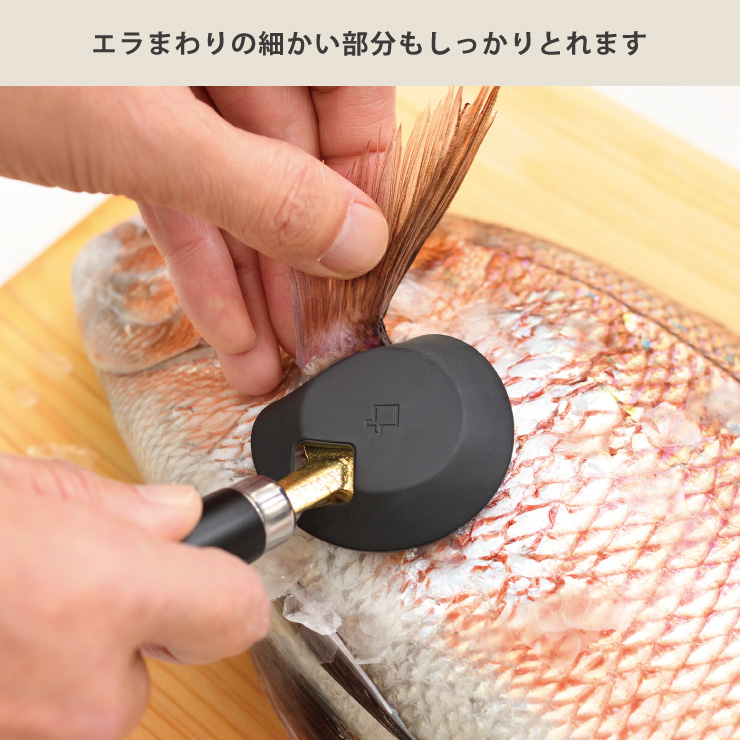 オークス 大人の焼魚 鱗とり カバー付き AUX OTS8013 魚 うろこ オークス 大人の焼魚 鱗とり カバー付き AUX OTS8013 魚 うろこ