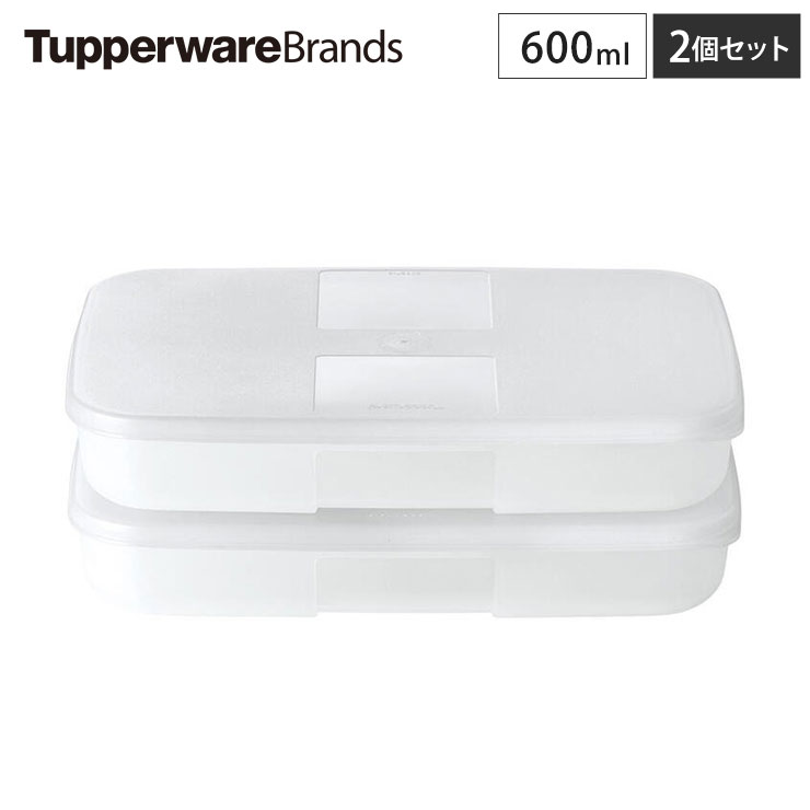 タッパー フリーザーメイト L #1 浅型 2個セット 600ml B0129