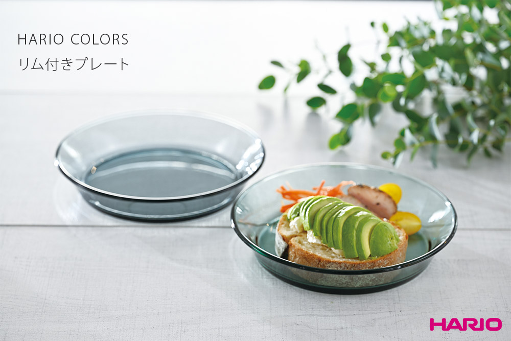 HARIO ハリオ カラーズ リム付きプレート COLORS 皿 パスタ皿 中
