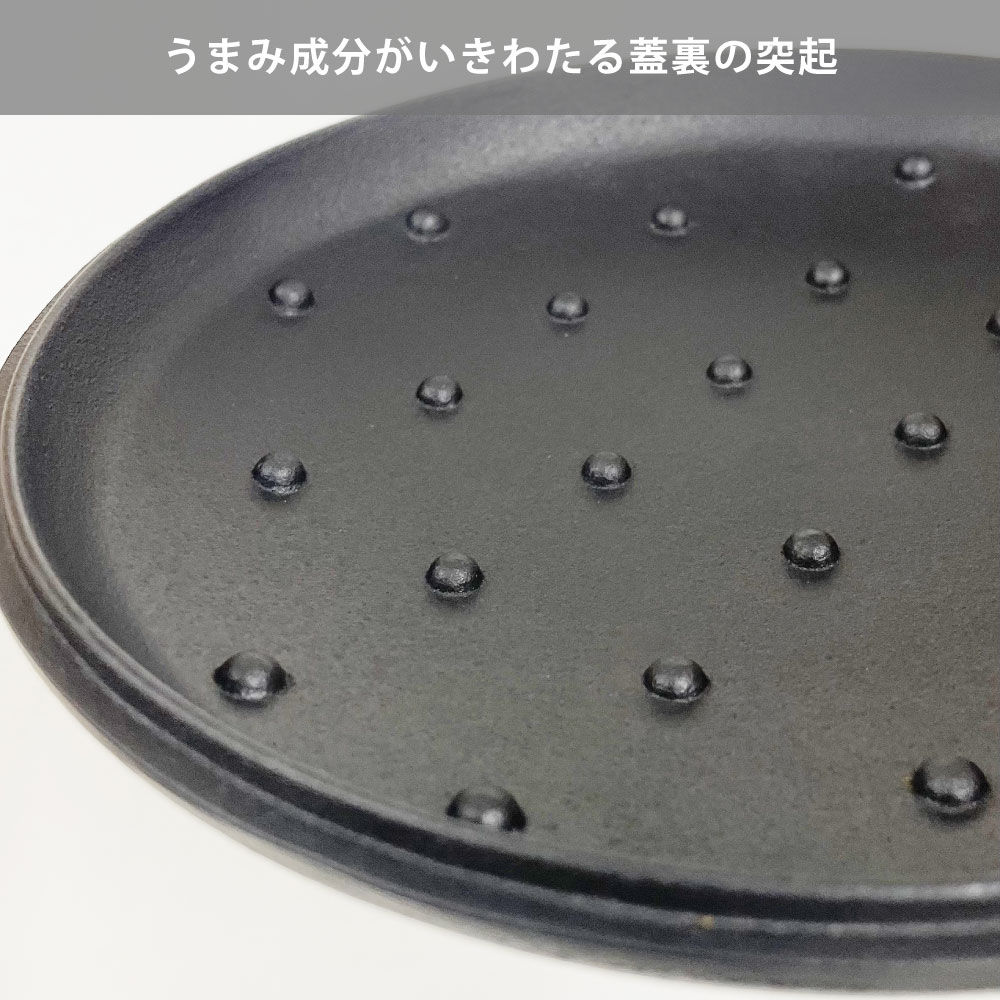 岩鋳（IWACHU） CUROCO クロコ キャセロール 20cm 深型 直火 IH対応