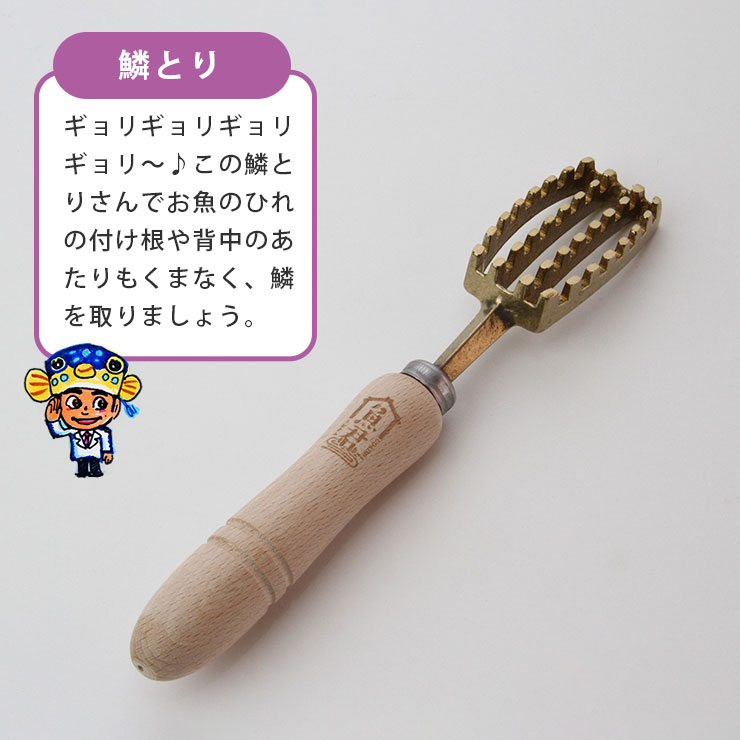 出産祝いなども豊富 魚君 さかなクン 鱗取り うおきみ/ウロコ さかなくん SKC-6003 リール