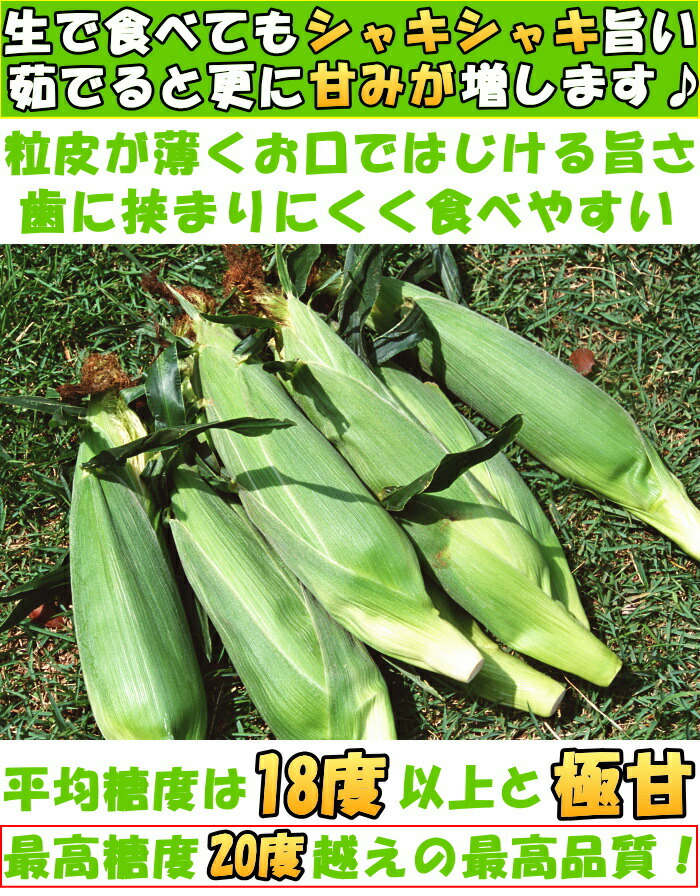北海道産とうもろこしベネ1