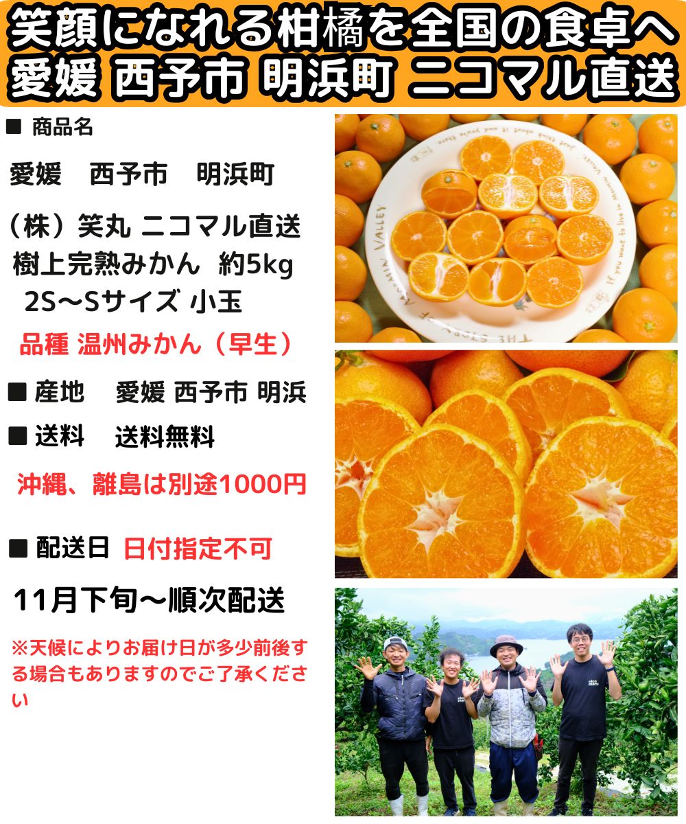 みかん 愛媛 明浜 甘い 美味しい 糖度 5kg s〜2s 小玉 樹上完熟 早生