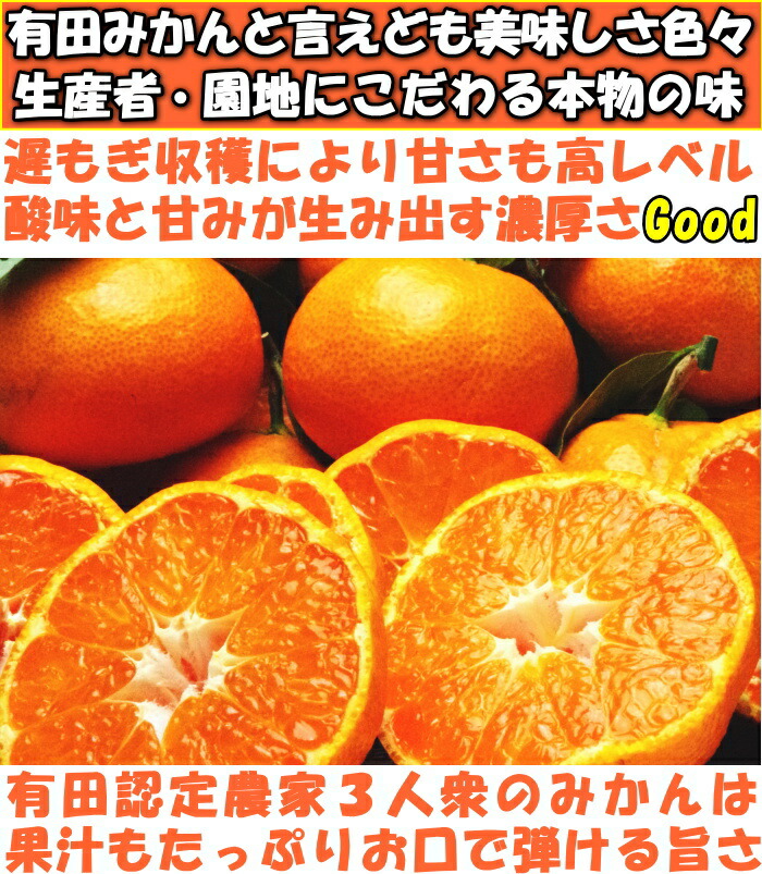 和歌山有田みかんベネ1