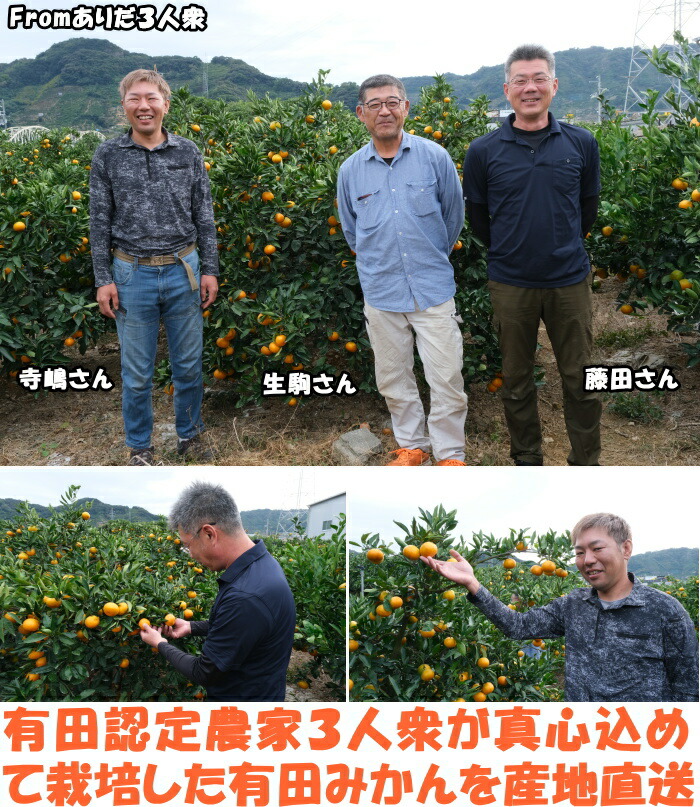 和歌山有田みかんベネ4