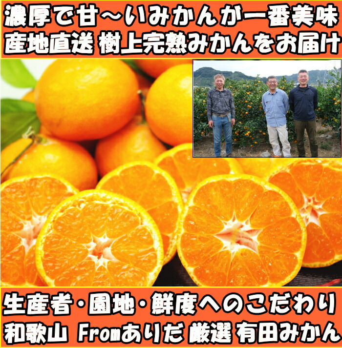 和歌山有田みかんファースト