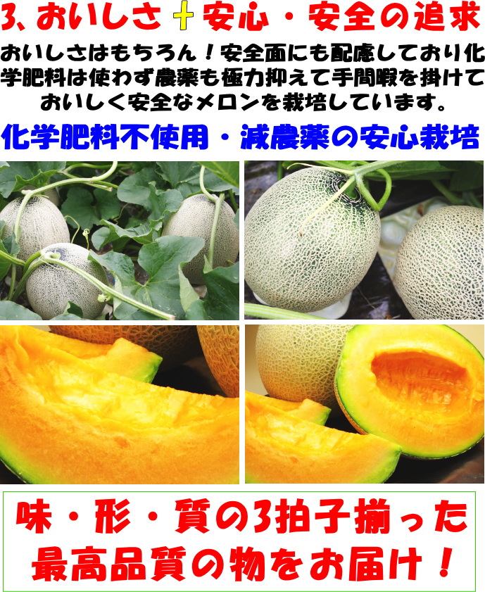 メロン 北海道 お中元 ギフト 赤肉 富良野メロン 3玉 4.8kg以上 工藤