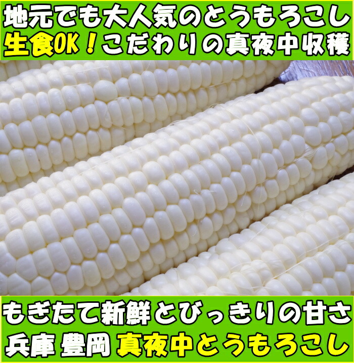 兵庫真夜中とうもろこしファースト