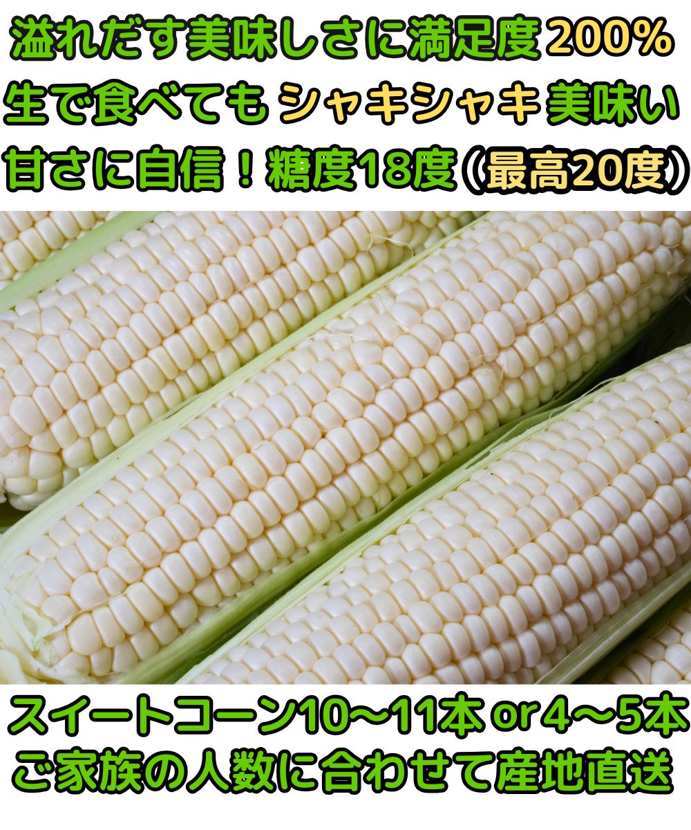 兵庫真夜中とうもろこしベネ2