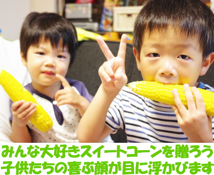 北海道ホワイトコーンベネ4