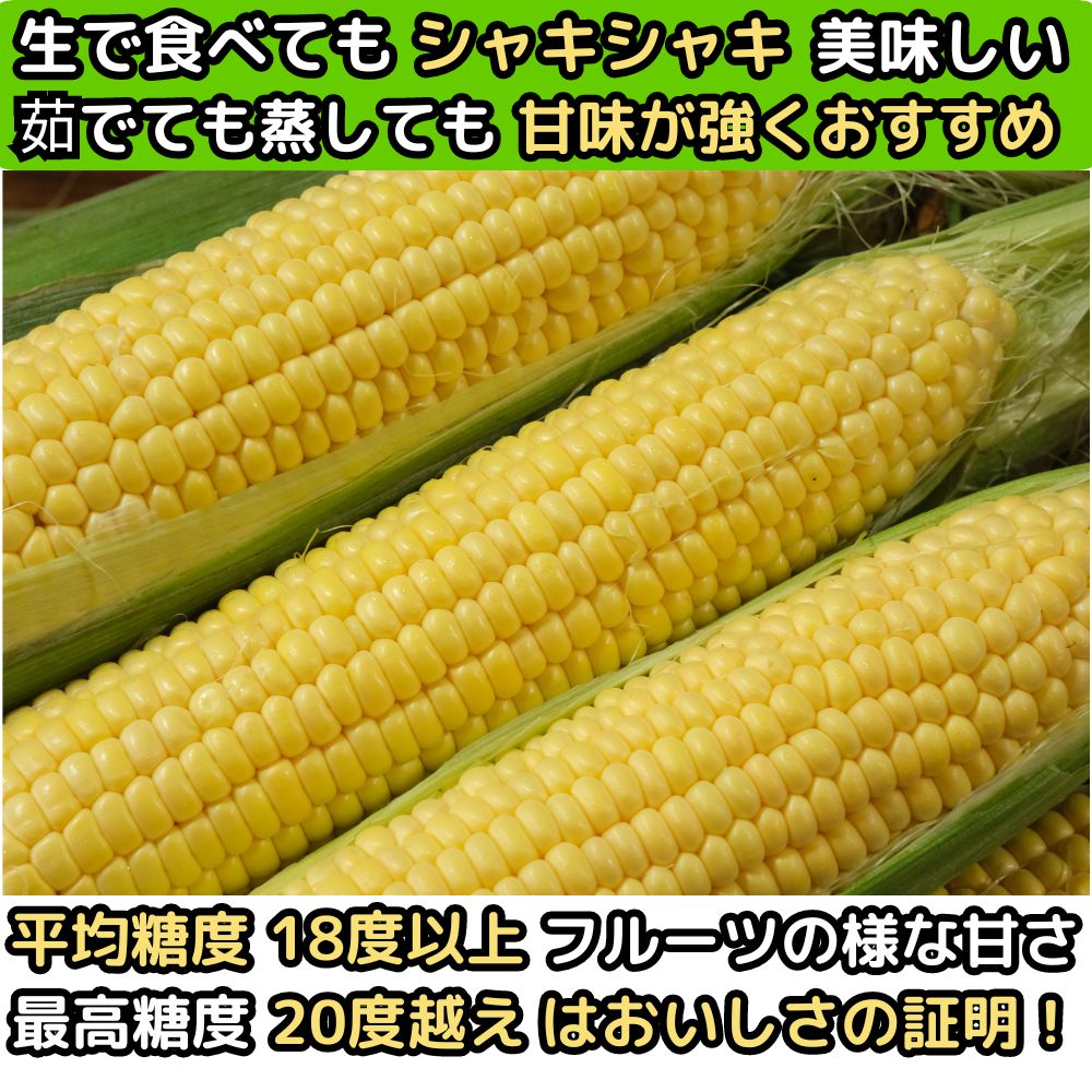 北海道三栄アグリとうもろこしベネ1