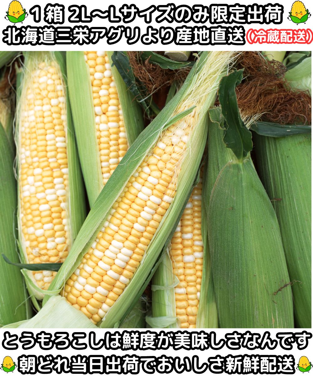 北海道とうもろこしベネ3
