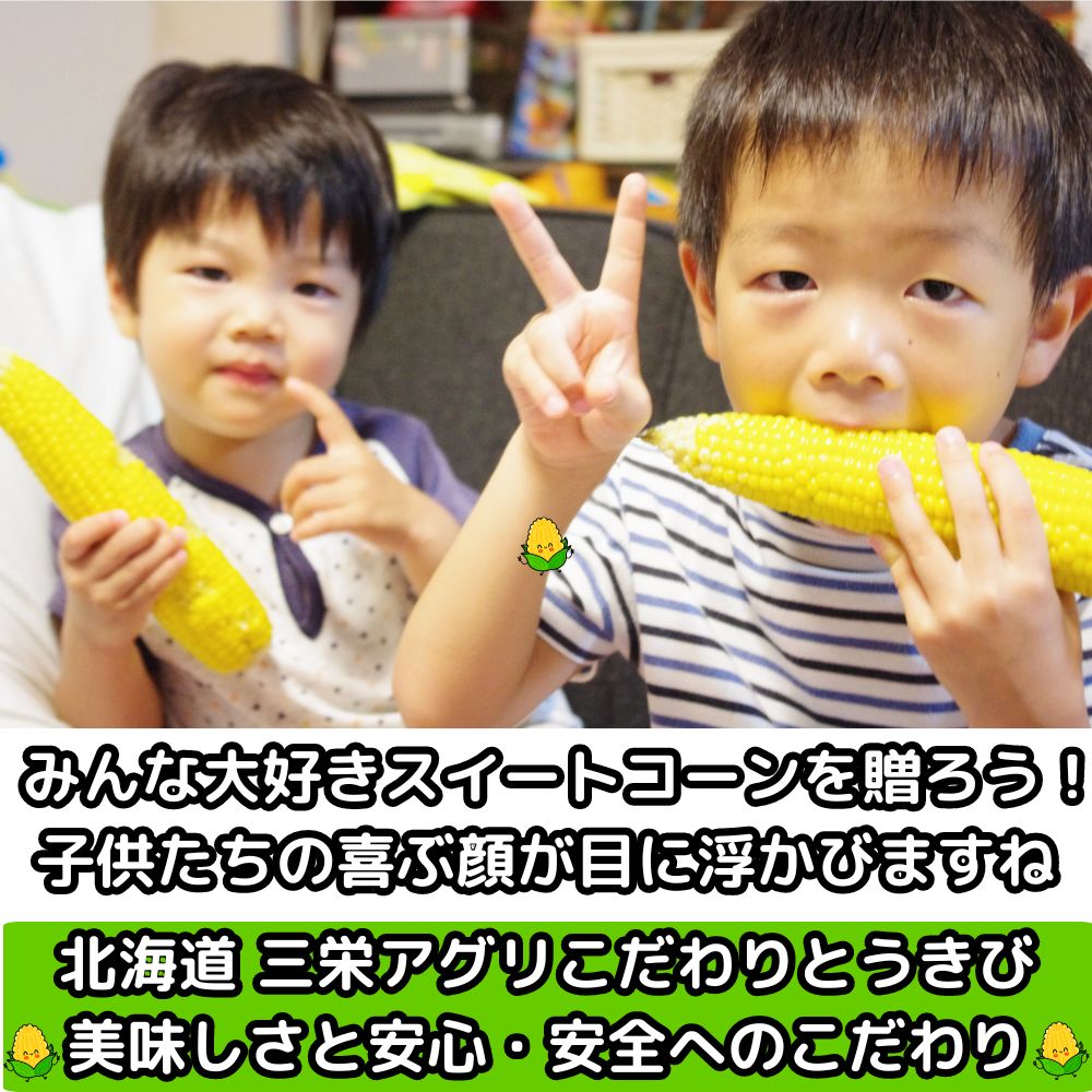 北海道とうもろこしベネ4