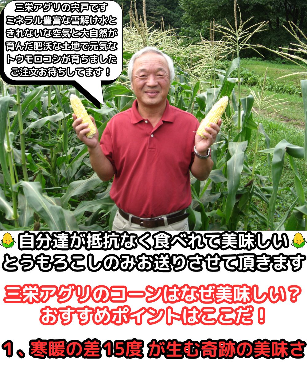 北海道三栄アグリとうもろこし生産者1