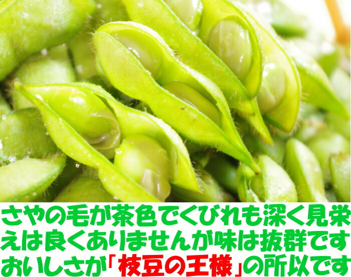 山形だだちゃ豆ベネ２