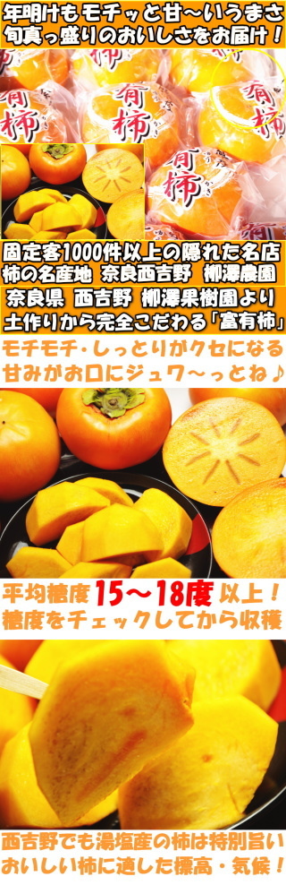 柿の王様 貯蔵 冨有柿 2Lサイズ 7.5kg 24玉 奈良 西吉野 柳澤果樹園 お歳暮 お年賀 ギフト 送料無料  :kaki-74:クックス産直ヤフー店 - 通販 - Yahoo!ショッピング