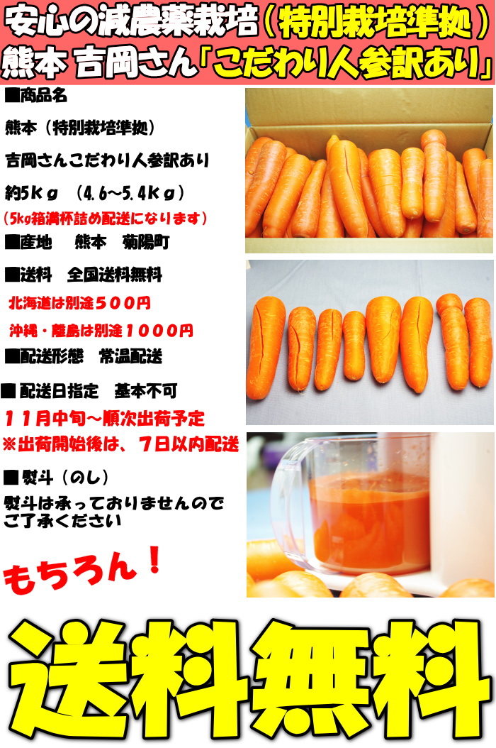 にんじん 人参 訳あり 約 5kg (4.6〜5.4kg) 安心の特別栽培準拠 旨み甘みが違う 熊本 吉岡農園 訳あり ニンジン 約5kg  にんじんジュース ジュース 用 冷蔵配送 :carot-01:クックス産直ヤフー店 - 通販 - Yahoo!ショッピング