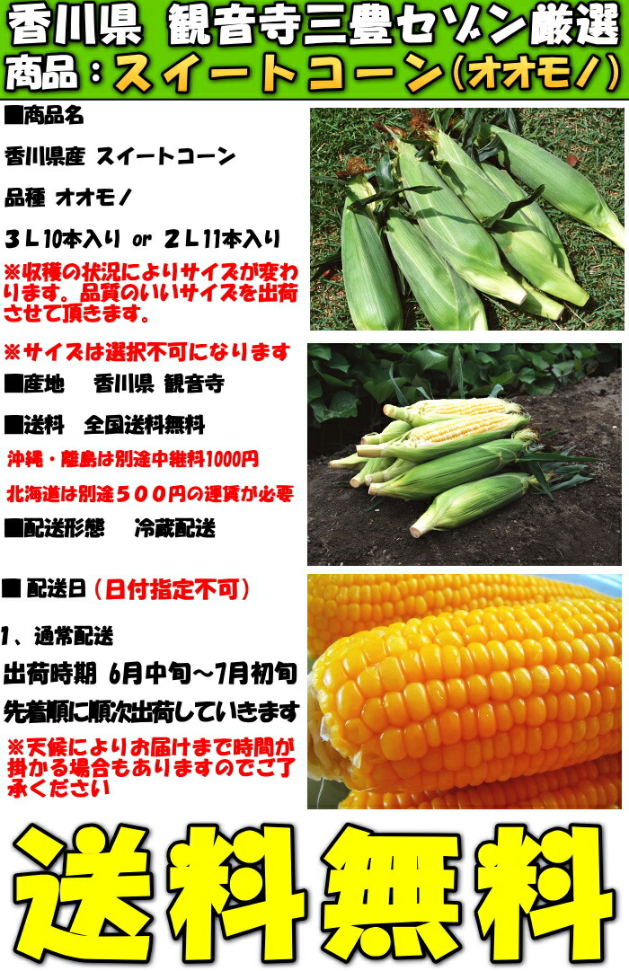 とうもろこし 御中元 生食OK おおもの スイートコーン 香川 2L とうもろこし 御中元 生食OK おおもの スイートコーン 香川 2L