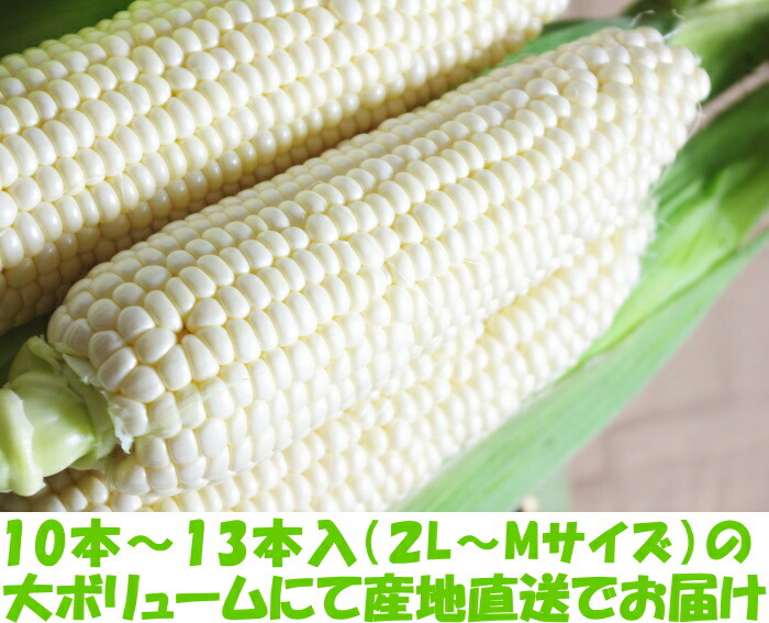 香川とうもろこしピュアホワイトベネ2
