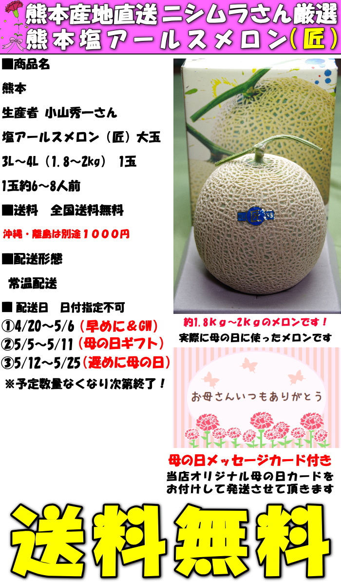 熊本母の日メロンスペック