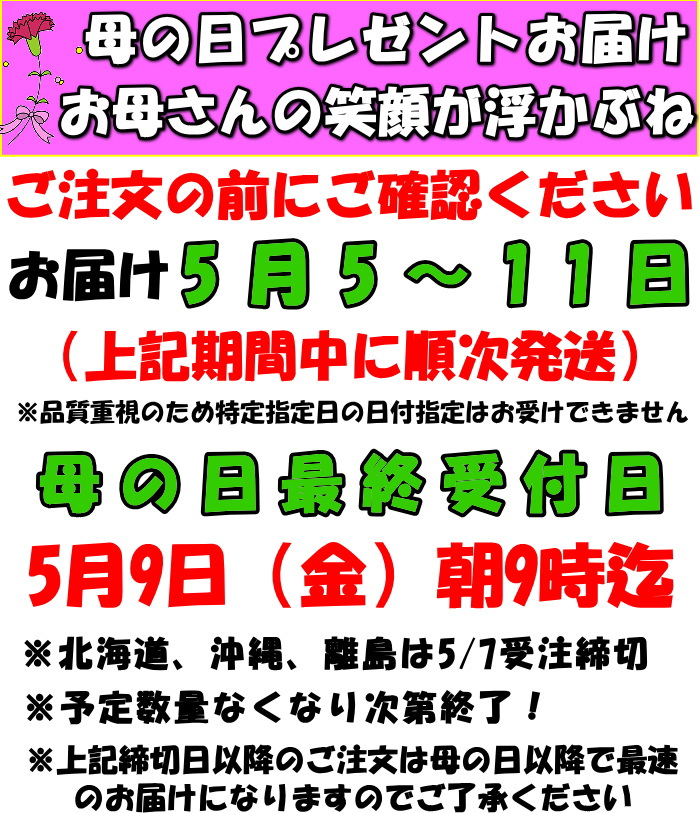 熊本母の日メロン注文前に