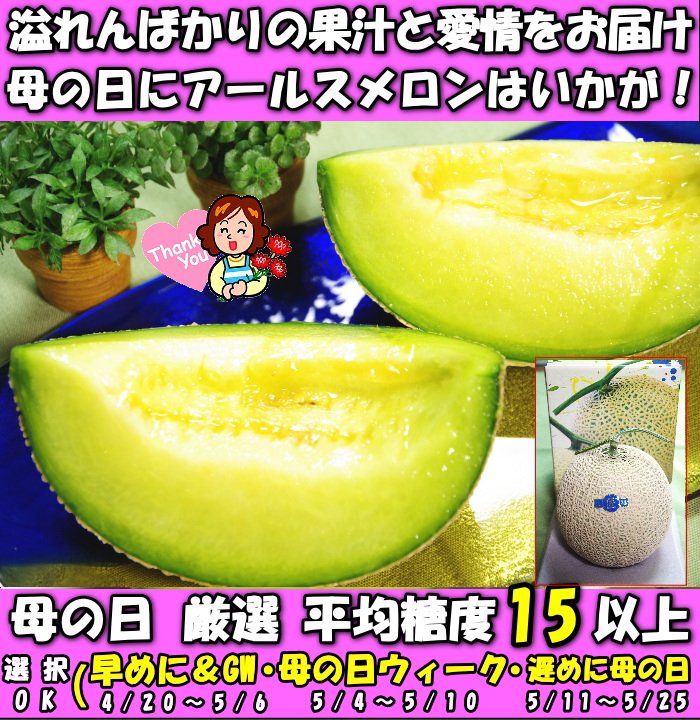 メロン 母の日 ギフト プレゼント 塩 アールスメロン 匠 大玉 1玉 3L