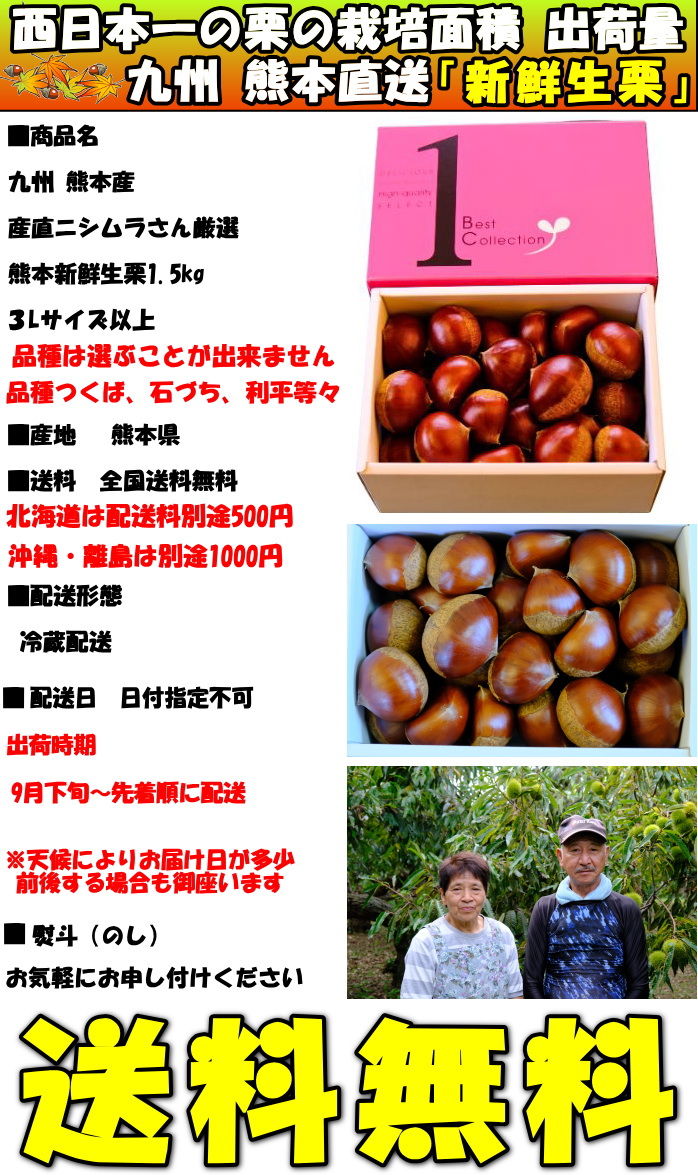 栗 熊本 生栗 大粒 新鮮 完熟 高級 美味しい ギフト 約1.5kg 3L