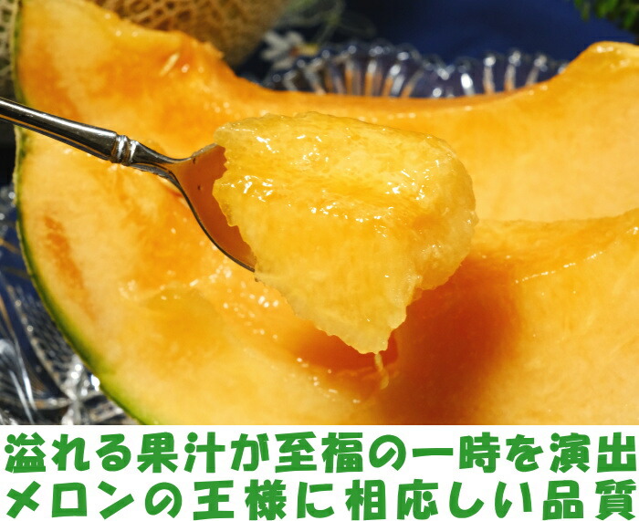 熊本赤肉母の日メロンベネ2