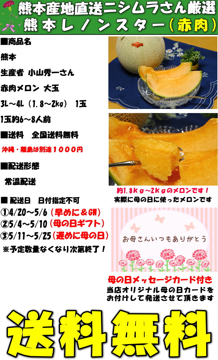 熊本赤肉メロンスペック