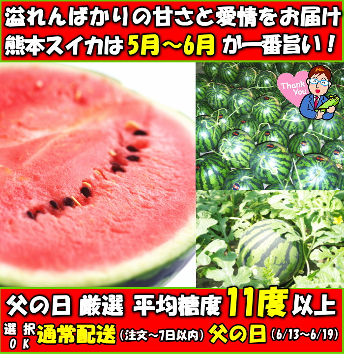 スイカ 父の日 ギフト 熊本 甘い 糖度12度以上 化粧箱入 プレゼント 母の日 スイカ 2L〜L 1玉 約5〜6人前 すいか 西瓜 ギフト 食品  果物 内祝 出産祝い 2022 :kuma-wm01:クックス産直ヤフー店 - 通販 - Yahoo!ショッピング
