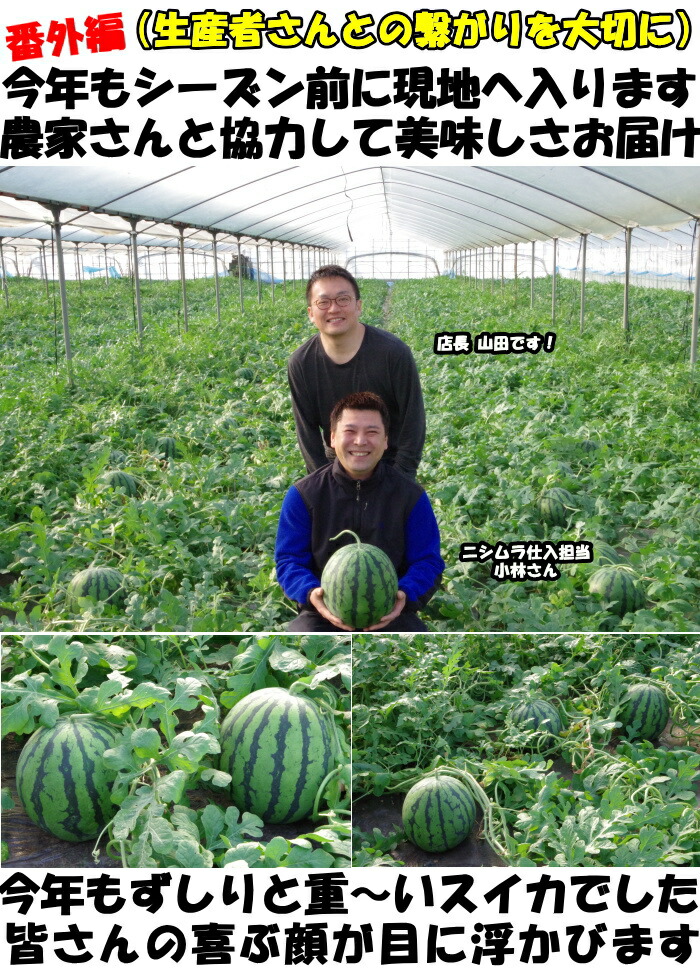 熊本母の日スイカ生産車紹介3