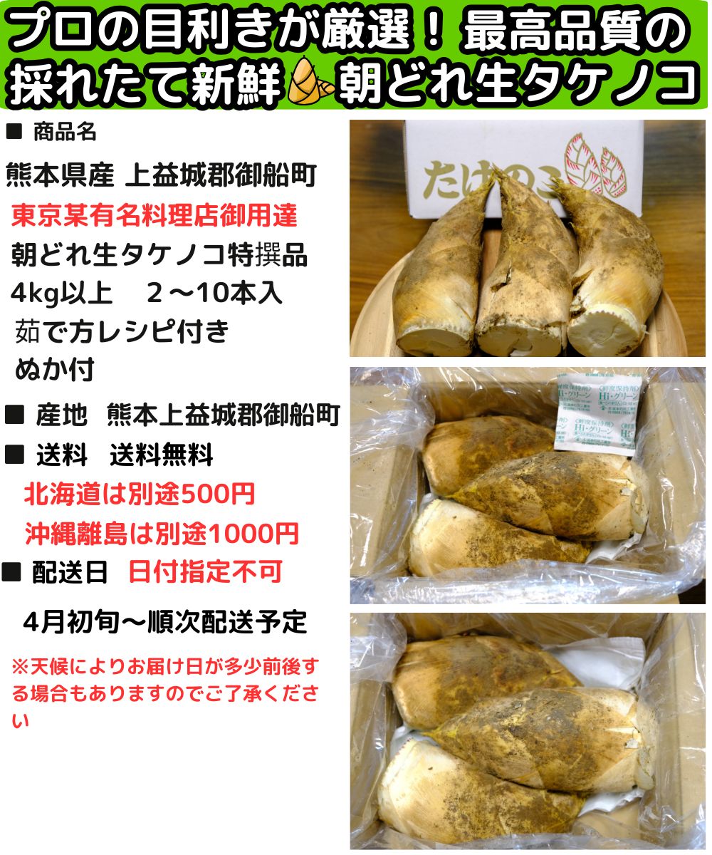 熊本タケノコスペック