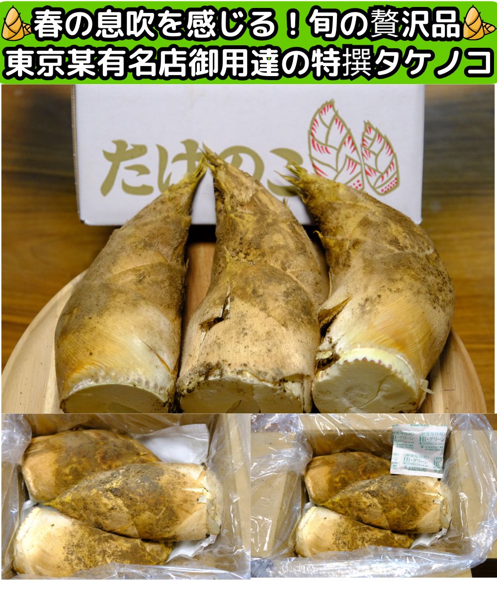 熊本生タケノコベネ1